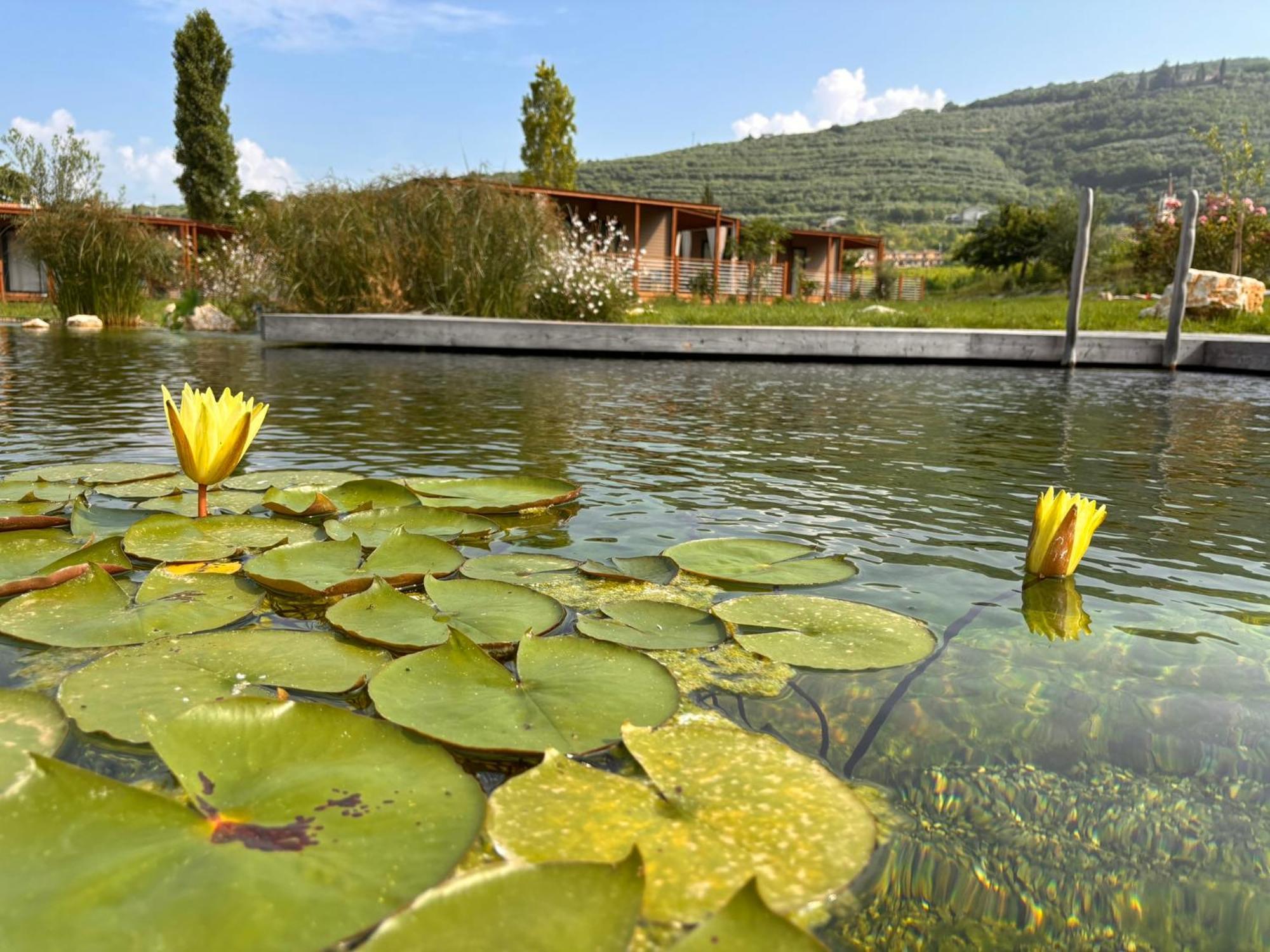 Val Di Venere Glamp House Otel Santa Maria in Stelle Dış mekan fotoğraf